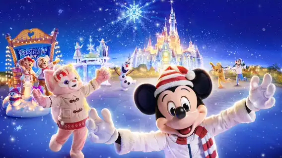 官方尊享卡3/6/8/14項隨到隨玩/無需集合/暢玩