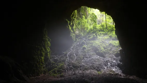 Jomblang Cave & Prambanan Temple | Multilingual Guide