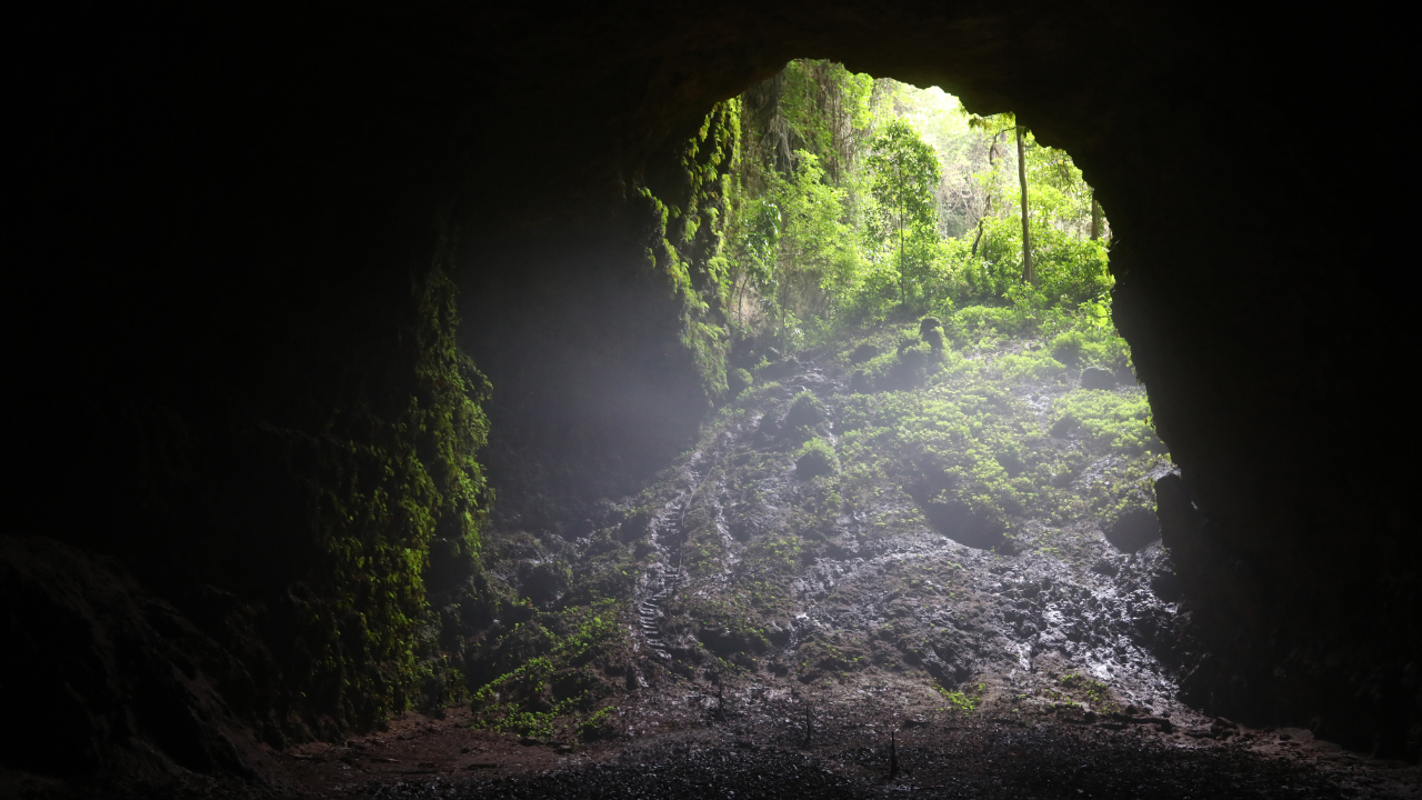 Grotta di Jomblang & Tempio di Prambanan|Guida multilingue