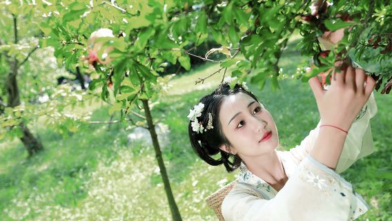 曲靖Tripメモリー【運転手兼ガイド兼Tripメモリー+ウェディングドローン撮影ミニムービー+メイクアップ衣装+旅程カスタマイズ+未編集写真全データ提供】