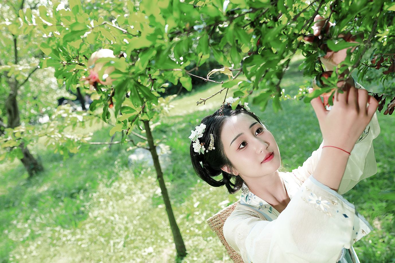 Qujing Trip Moments[Driver-guide plus travel photography + wedding aerial photography microfilm + makeup and costumes + customized itinerary + all photos included]