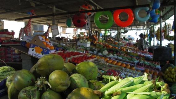 From Fujairah Safari: Mountain Safari by 4x4