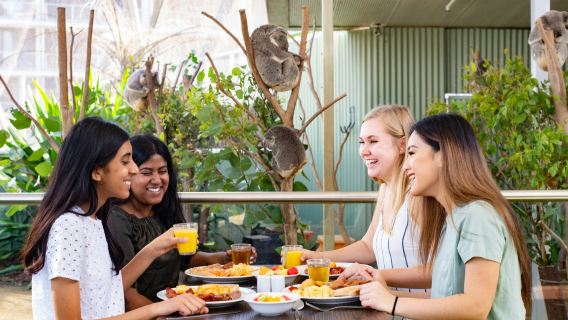 WILD LIFE Sydney: Breakfast with the Koalas