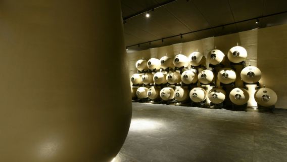 Verona: Vapolicella Vineyard Tour + Wine Tasting with Lunch