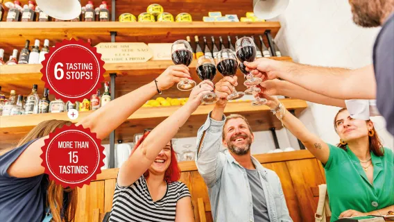 Lisbon: Small-Group Portuguese Food & Wine Tour