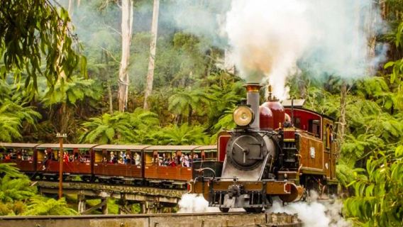 One-day private charter of Melbourne, Australia, Puffing Billy steam train, Penguin Island, Phillip City pick-up