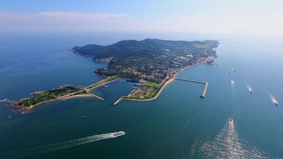 山東旅行服務