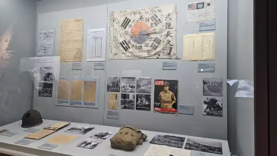 Blood, Tears & Resistance: Korea's Dark Journey to Democracy Walking Tour (Seoul, National Museum of Korean Contemporary History + Namsan + Korea Democracy Foundation + Tongin Traditional Market)