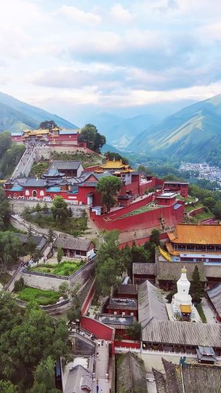 1-day tour to Wutai Mountain in Xinzhou with English service, including visits to Foguang Temple, Dailuoding, Pusa Ding (Bodhisattva Top), and Guanghua Temple