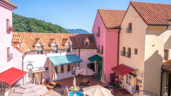 Gyeonggi-do, South Korea|Nami Island X Petite France X Italian Village