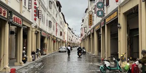 梅州千佛塔+鬆口古鎮+雁南飛茶田一日遊(提供中英文服務)