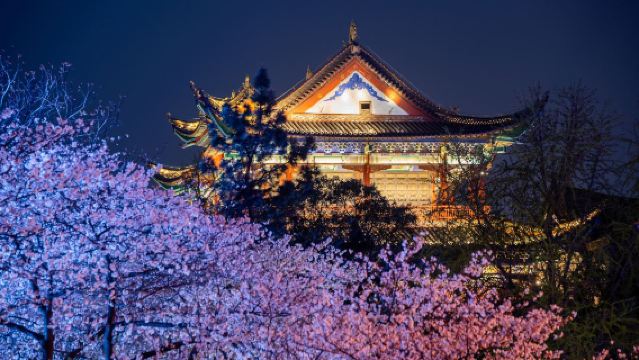 中國湖北+晴川閣+武漢歡樂谷一日遊【多語種+私人定制遊】