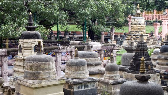 Исследуйте Бодхгаю из Варанаси: Махабодхи, дерево Бодхи и монастыри