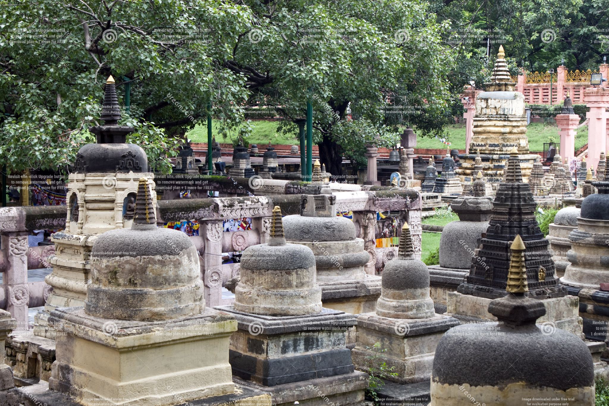 Explore Bodhgaya from Varanasi: Mahabodhi Temple, Bodhi Tree, and Monasteries