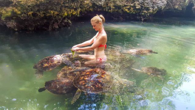 Zanzibar: Nungwi Turtle Aquarium Guided Half-Day Trip