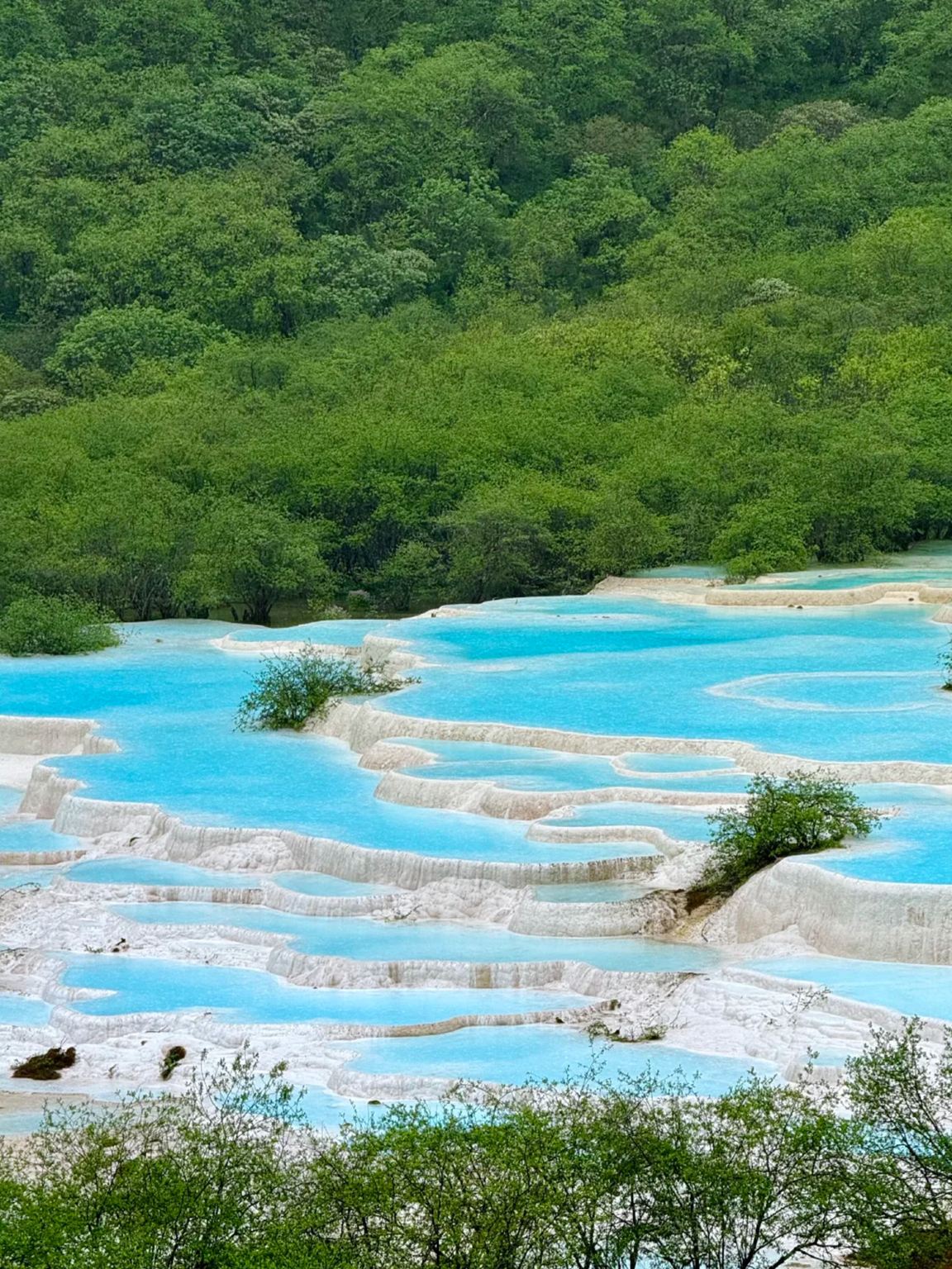 黃龍風景區一日遊【含門票和上行索道|可選拼小團】