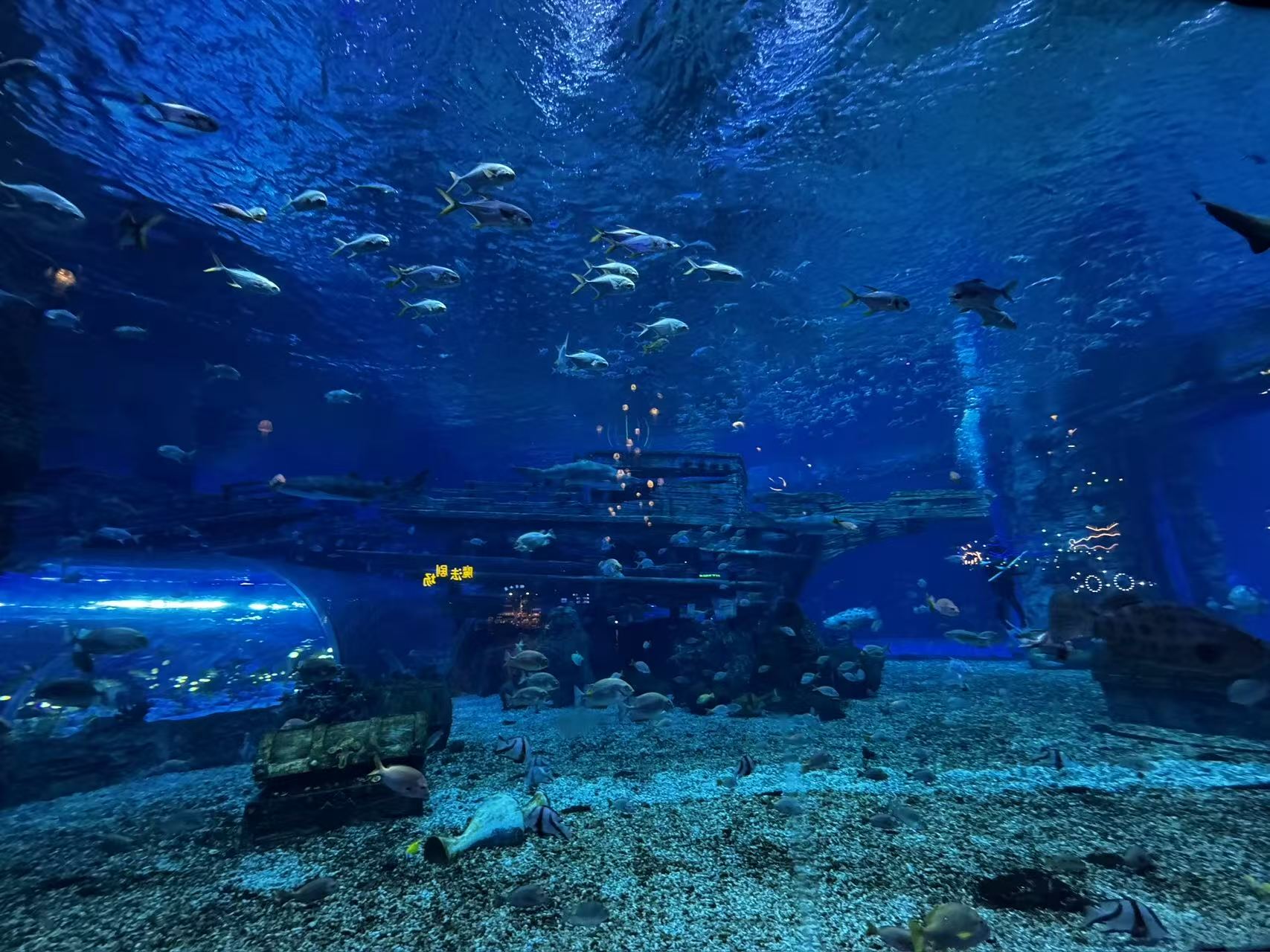 無錫融創海世界（融創茂店）體驗潛水浮潛0.5小時【潛水體驗+海世界門票】