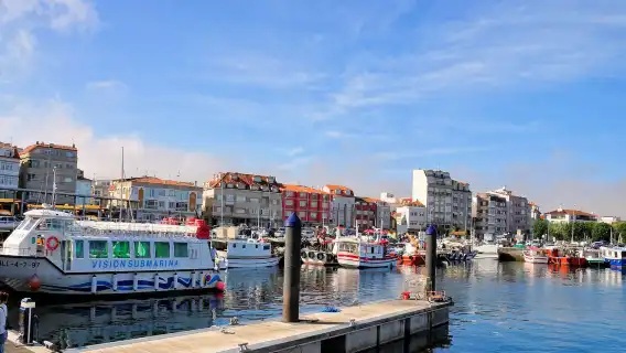 1-day tour from San Diego to Baja California: winery tasting + seafood cruise + Ensenada fishing village