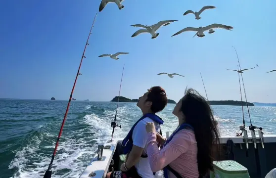 遼寧大連星海遊艇碼頭海釣散拼/包船出海體驗【體驗釣魚+旅遊觀光+餵海鷗+提供魚竿魚餌海鷗食礦泉水】