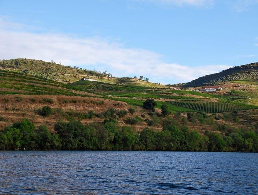 Pinhão: tour de 1 hora en barco Rabelo