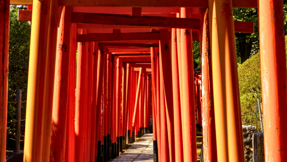 Tokyo: Old Town History Walking Tour(Nezu&Yanaka)