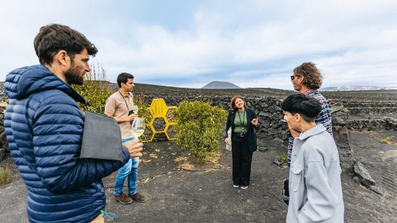Wine Lovers: Wine Tasting Tour at El Grifo Bodega Lanzarote