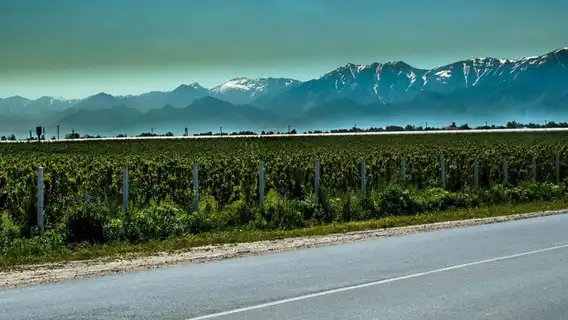 From Samarkand: Shahrisabz Private Day Tour