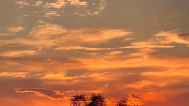 Sewaan peribadi di Huizhou Shuangyue Bay | Lawatan sehari ke platform pemandangan + Pulau Singa + Tarikan pelancongan Teluk Penyu + Tembok Kekasih