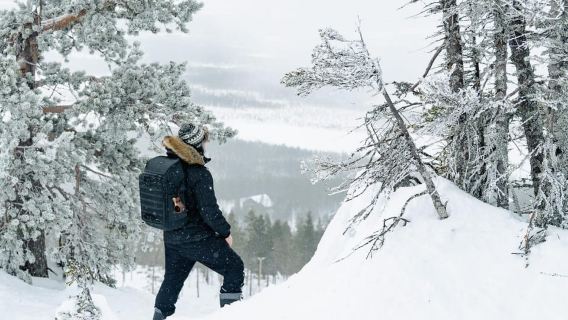 Rovaniemi: Snowshoeing in the Arctic Wilderness