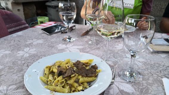 Gažon – Istrien: Trüffelsuche & Kochen & Verkostung
