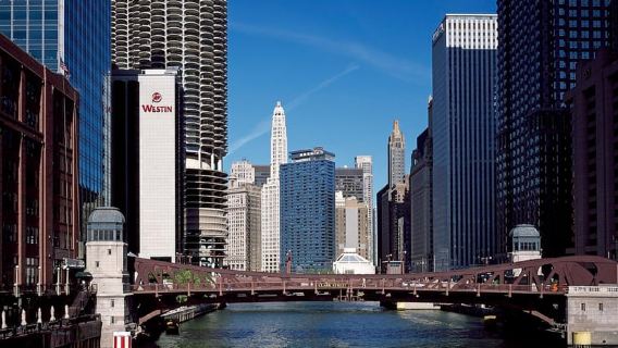 Chicago: Art of a City, tour guidato a piedi del centro di Chicago