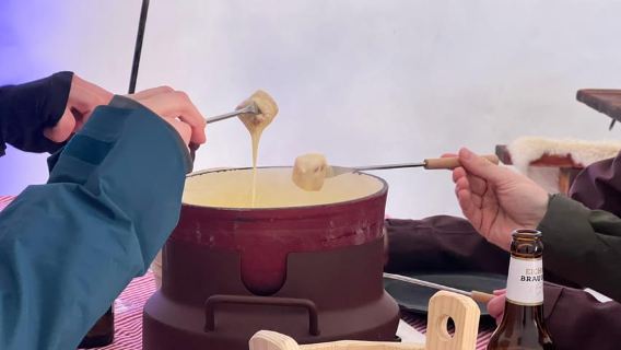 Zurich: Lucerne Trip, Igloo Fondue and Titlis Rotair Option