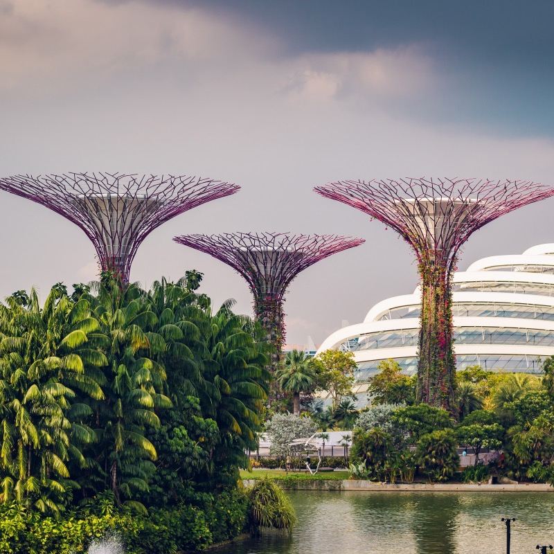 Book after consultation/Gardens by the Bay/Universal Studios Singapore/Zoo/Clarke Quay/Airport/Point-to-point transportation/Tour guide services/Private car service
