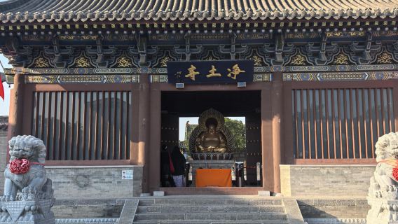 Однодневный тур по старому городу Шуочжоу, храму Чистой Земли и деревянной пагоде Инсянь с услугами на китайском и английском языках