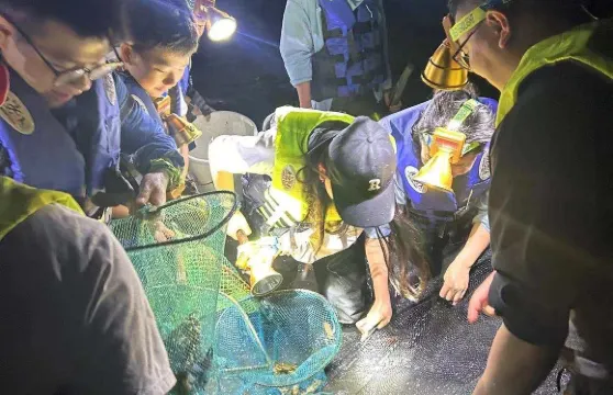海南萬寧神州半島深度趕海體驗【漁船接駁+全套趕海裝備+收穫歸個人打包帶走+專業趕海領隊服務】