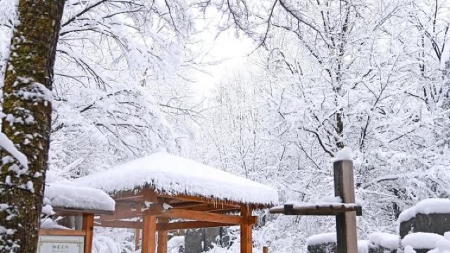 lawatan sewa peribadi 1 hari di Tarikan Pelancongan Lereng Barat Gunung Changbai