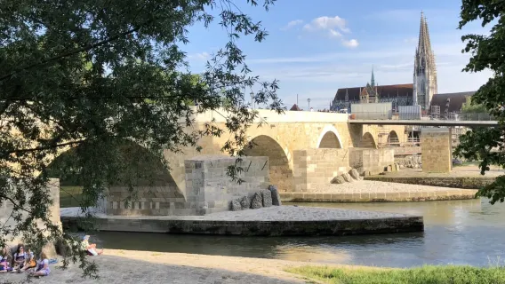 Privat dagsrejse med bil til Stenbroen + Regensburg Domkirke + en valgfri aktivitet