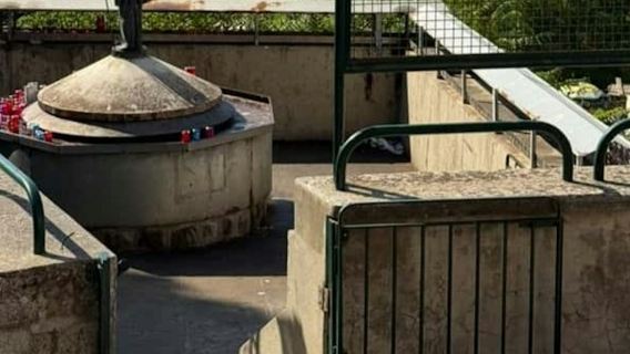 ปาเลอร์โม: ทัวร์พร้อมไกด์ชมสุสานโรโตลีและวิหารซานตาโรซาเลีย