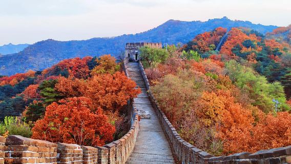 무톈위창청(모전욕장성)+이화원+베이징 국가체육장(버드스 네스트) 및 국가수영장(워터 큐브) 당일 치기 여행