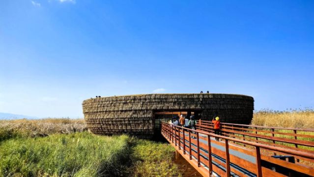 Penerangan berpandu sains di Taman Botani Xishuangbanna (Bahagian Barat) - Pakej berkumpulan 8-15 orang