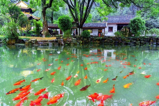 Perjalanan satu hari dengan sewa kendaraan pribadi VIP grup kecil di Hangzhou · Rute utama pemandang