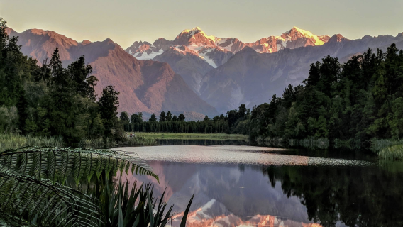 紐西蘭基督城+蒂卡波湖&普卡基湖可定制【中文專車-愜意舒適】