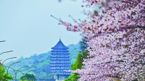 [Depart from Hangzhou] +Long Bridge Park+Leifeng Tower+West Lake+ [Optional join-in tour/private charter]