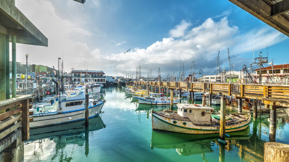 【美國舊金山包車遊】科伊特塔+金門大橋+九曲花街+漁人碼頭