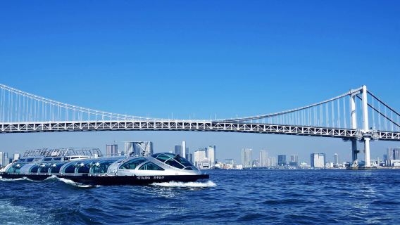 Tokyo Senso-ji Temple, Odaiba Seaside Park, Toyosu Hama Imperial Palace Sightseeing Boat, Water bus
