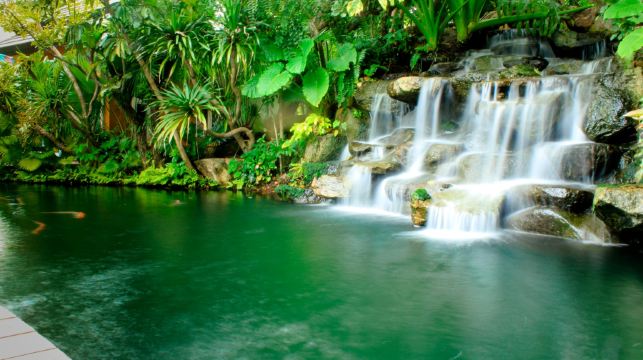 【中文司機自由行包車】布吉全島用車|自由訂製行程|時間自由