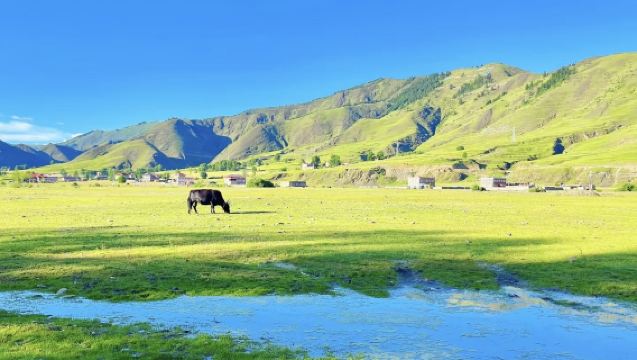 川藏線之康定遊·木雅聖地+新都橋+塔公草原