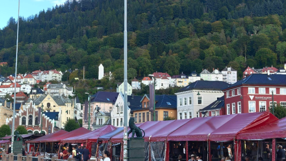 挪威卑爾根-努爾黑姆松-瀑布-峽灣遊船【中文包車自由行】