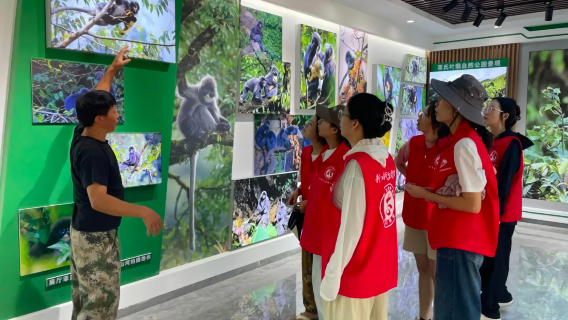 Lawatan Sehari Mangshi + Tembikar Perlahan Etnik Dai + Memerhati Monyet Daun Phayre