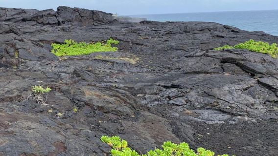 印尼雅加達-覆舟火山+卡瓦普定火山湖一日遊【14小時包車】